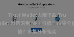 Trust Wallet大陆下载 Trust Wallet 如何识别 NFT 价值？市集分析指南