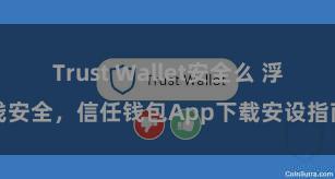 Trust Wallet安全么 浮浅安全，信任钱包App下载安设指南